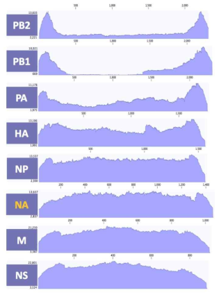 ID-10 바이러스 8개 분절의 coverage depth>100