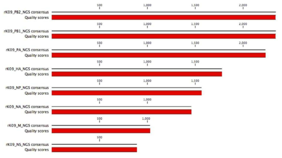 rK09 바이러스 8개 분절의 전장 유전체와 quality score