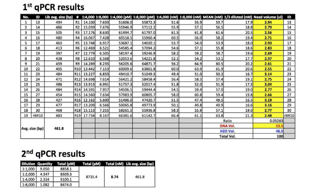 1st, 2nd qPCR을 통한 library 표준화 진행 결과