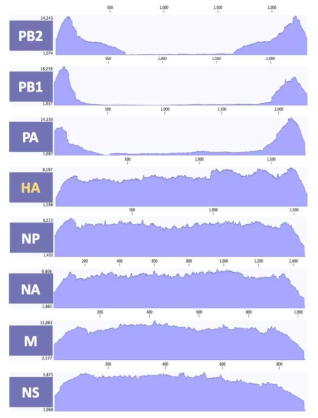 ID-14 바이러스 8개 분절의 coverage depth>100