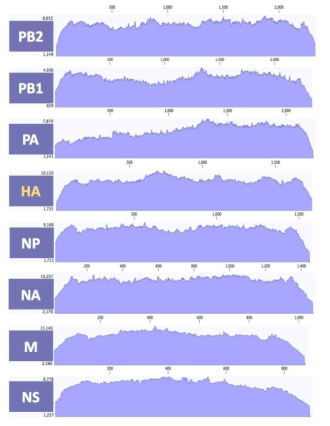 ID-15 바이러스 8개 분절의 coverage depth>100