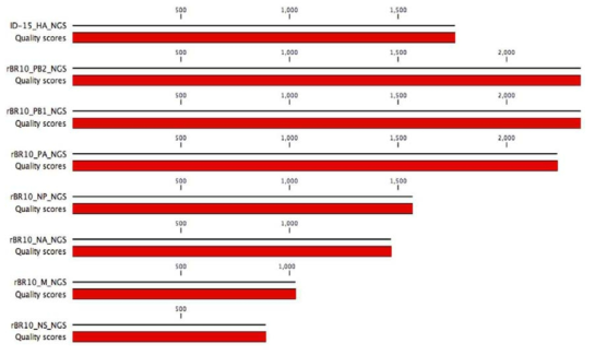 ID-15 바이러스 8개 분절의 전장 유전체와 quality score