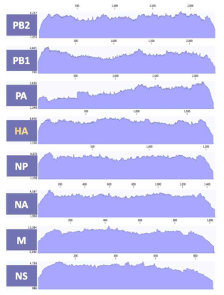 ID-16 바이러스 8개 분절의 coverage depth>100