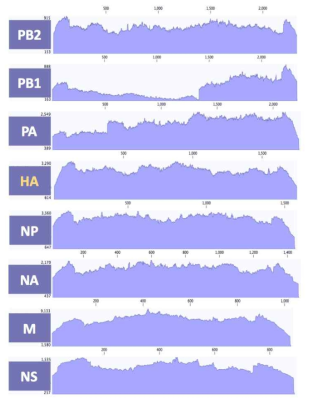 ID-19 바이러스 8개 분절의 coverage depth>100