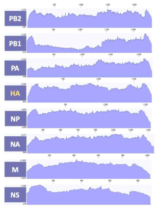 ID-20 바이러스 8개 분절의 coverage depth>100