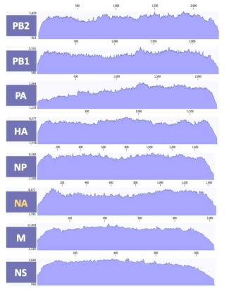 ID-22 바이러스 8개 분절의 coverage depth>100