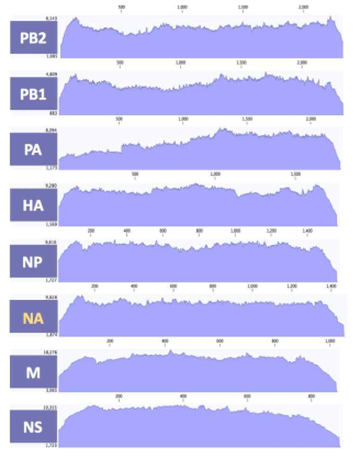 ID-23 바이러스 8개 분절의 coverage depth>100