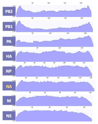 ID-25 바이러스 8개 분절의 coverage depth>100