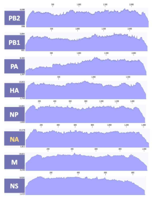 ID-26 바이러스 8개 분절의 coverage depth>100