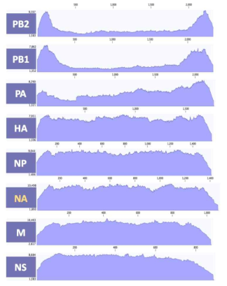 ID-27 바이러스 8개 분절의 coverage depth>100