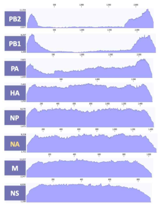 ID-28 바이러스 8개 분절의 coverage depth>100