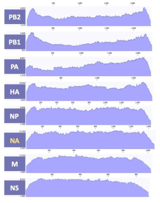 ID-29 바이러스 8개 분절의 coverage depth>100