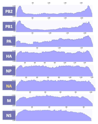 ID-30 바이러스 8개 분절의 coverage depth>100