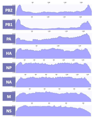 rBR10 바이러스 8개 분절의 coverage depth>100