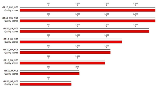rBR10 바이러스 8개 분절의 전장 유전체와 quality score