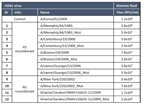 요수에서의 H1N1 바이러스 plaque 역가
