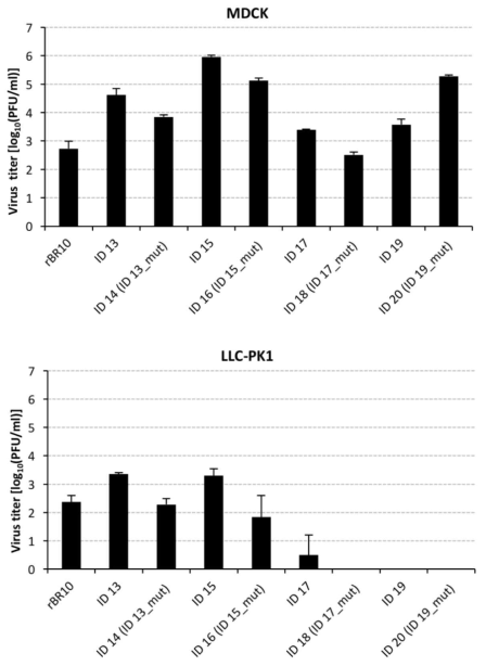 H3N2 HA recombinants의 감염 후 24시간 째 세포 상층액의 세포주 별 바이러스 역가