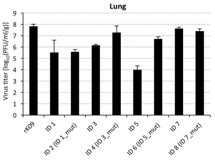 H1N1 HA recombinant DPI 5의 장기에서의 바이러스 역가