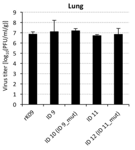 H1N1 NA recombinant DPI 5의 장기에서의 바이러스 역가