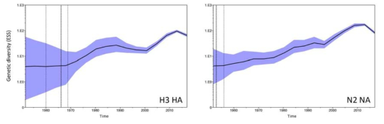 사람, 돼지 인플루엔자 바이러스 H3 HA, N2 NA 유전자의 genetic diversity