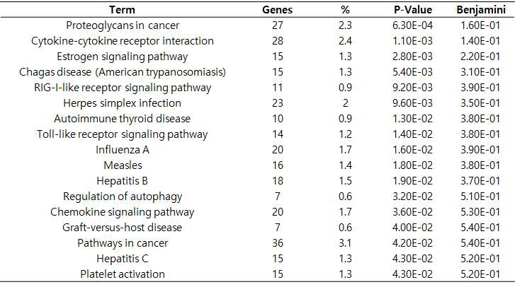 Post에서만 발현되는 2배 이상 증가 및 감소하는 유전자 군의 pathway 목록