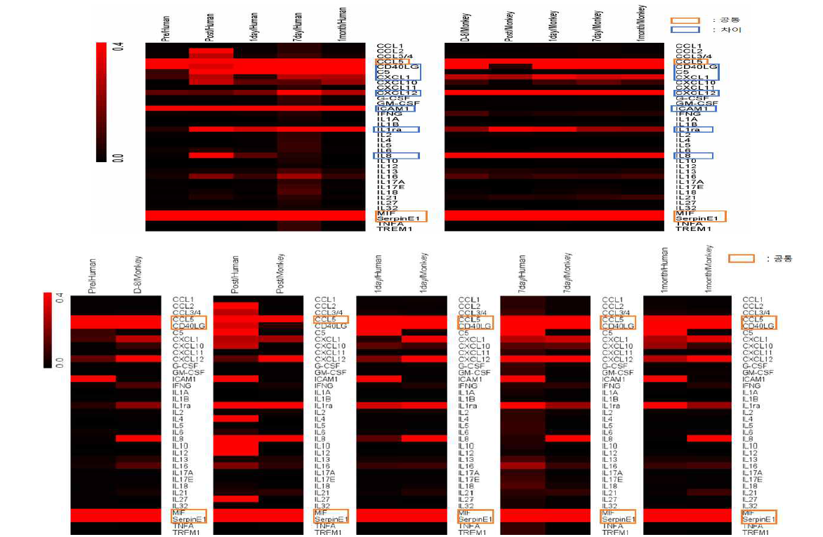 인간 뇌경색 환자 시기별 샘플과 원숭이 뇌경색 모델 시기별 샘플에서 각각 cytokine 발현을 나타내는 clustering 결과