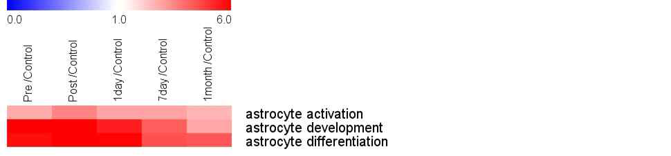 인간 뇌경색 환자에서 시기별 astrocyte 유전자들의 발현 변화