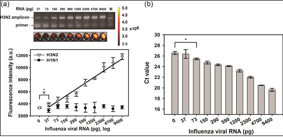 산화그래핀과 형광핵산을 이용한 인플루엔자 바이러스 검출의 민감도 비교