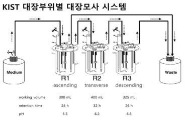 KIST 3-stage 대장모사시스템 구축