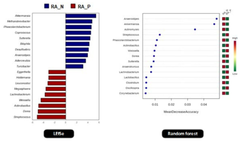 LEfSe와 Random forest를 이용한 RA 그룹 간 장내미생물 연관성 분석