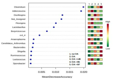 CIA 모델 그룹 간 장내미생물 차이 분석