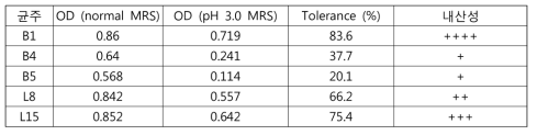 유효균주의 내산성 평가 결과