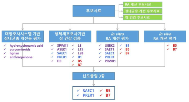 RA 개선 천연물 선도물질 발굴 현황