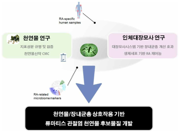 연구개발 개요