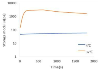 온도에 따른 시간별 Storage modulus특성