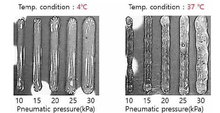 온도 및 공압조건에 따른 바이오잉크의 Printability 특성