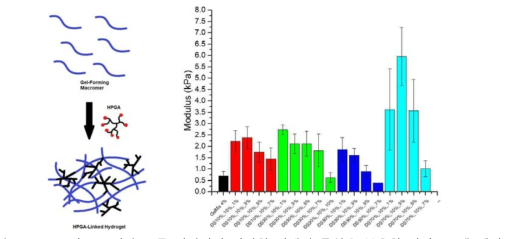 HPGA의 DS 및 농도를 변화하여 다양한 기계적 물성을 보유한 하이드로젤 제작