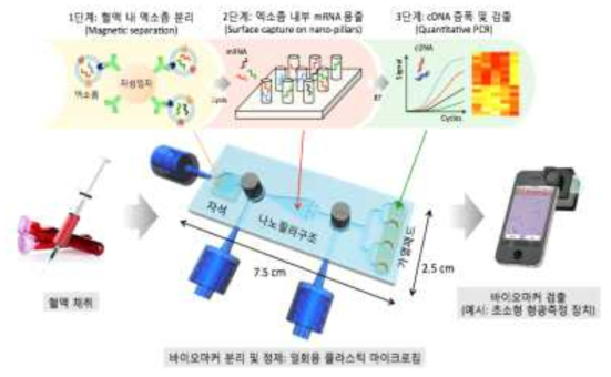 혈액 내에 존재하는 엑소좀 바이오마커의 분리, 정제 및 증폭을 위한 일회용 플라스틱 마이크로칩의 구상도