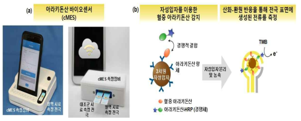 본 연구팀이 개발한 아라키돈산 바이오센서 (cMES)의 모습, (b) cMES의 측정 원리