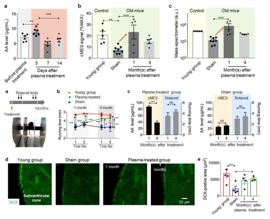 혈장 내 Arachidonic acid 측정 및 동물 행동 실험 결과와 brain tissue imaging