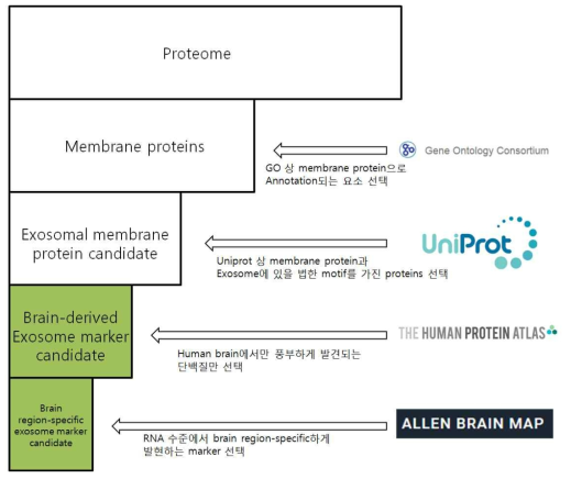 뇌 영역 특이적 바이오마커 발굴 모식도