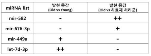 줄기세포 치료제 바이오마커 발굴을 위한 동물모델에서 바이오 마커 후보miRNA 리스트