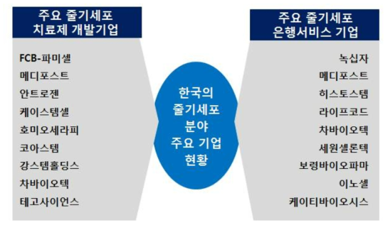 국내 줄기세포 분야 주요기업 현황 (출처 : Frost&Sullivan, Analysis of the Global Stem Cell Market(2014) 참조, 생명공학정책연구센터 재가공)