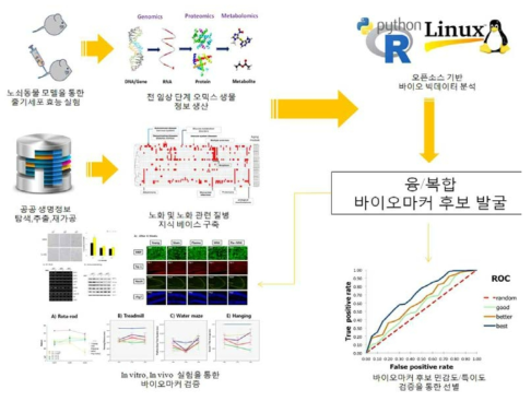 그림 동물실험과 공공 생명정보 통합 분석을 통한 바이오마커 후보군 발굴 및 검증 시스템