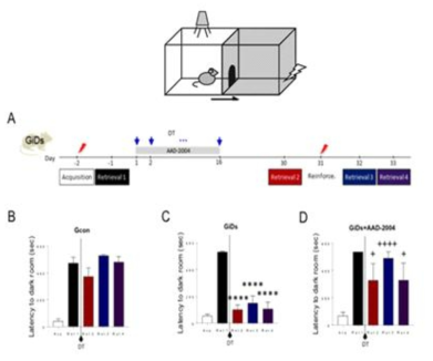 GiD mice showed cognitive deficits on passive avoidance test