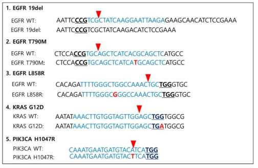 single guide RNA target sequence