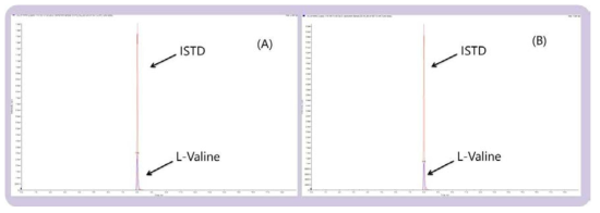 L-Valine(RT= 7.9 분)과 1-13C-Valine(내부표준물질, RT= 7.9 분)의 크로마토그램 (A: 표준용액, B:유리체액 시료)