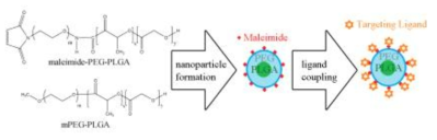 Ligand-conjugated PLGA NPs