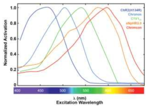 광유전자 자극 파장대역 (출처: EuroPhotonics, March 2015)