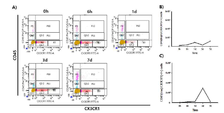 CD45high/ CX3CR1(+/+)과 CD45low/CX3CR1(+/+)세포의 유세포 분석